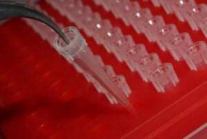 Image shows test tubes being filled in a lab.