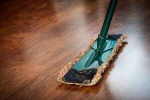 Image shows a mop.