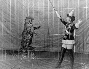 image shows a lion tamer