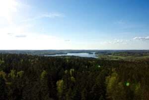 Image shows an expanse of forest.