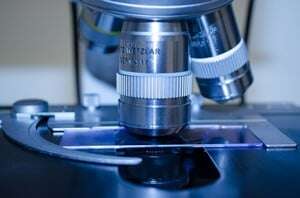 Image shows a microscope.