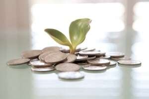 Image shows a green shoot coming out of a pile of money.