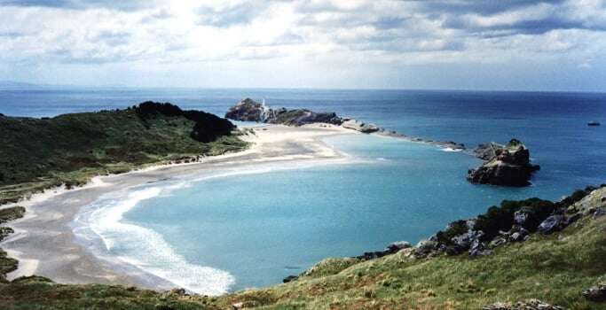 Image shows the coastline of New Zealand.