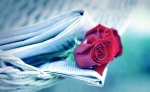 Image shows a newspaper with roses slipped inside it. 