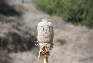 Image shows a scarecrow's head.