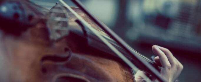 Image shows a violin. 