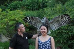 yarnton-2015-birds-of-prey