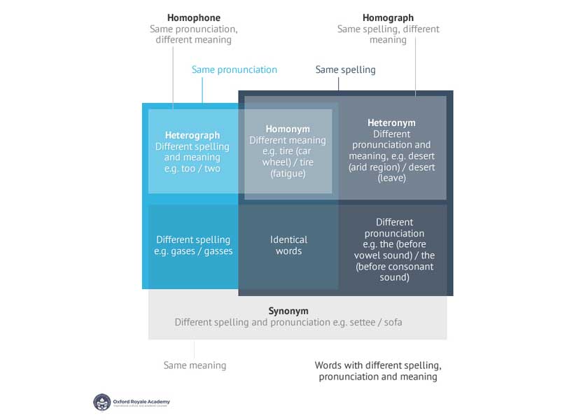 Diagram of homophone and homograph