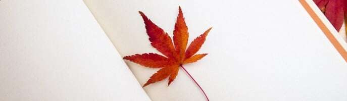 maple-leaf-638022_1280