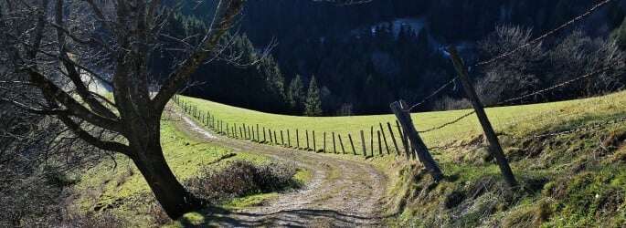 road-237651_1280