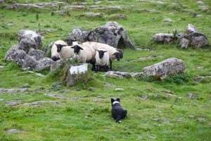 Barbour jackets are traditionally associated with the British countryside.